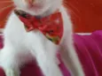 Lili