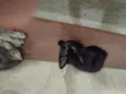 2machinhos pretos