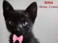 Nina 