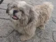 Tobby