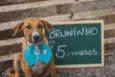 Bruninho