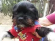 Bilu