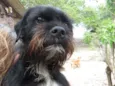 Bilu