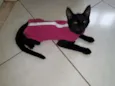 Não tem nome