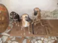 Pipoca,Fubá e Chocol