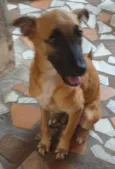 Pipoca,Fubá e Chocol
