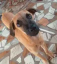 Pipoca,Fubá e Chocol