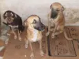 Pipoca,Fubá e Chocol