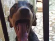 Pipoca,Fubá e Chocol