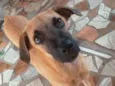 Pipoca,Fubá e Chocol