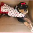 Valentina 