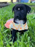 LUNA
