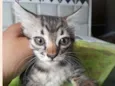 Zeca e Lia