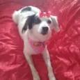 Nina 