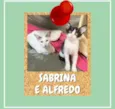 Sabrina e Alfredo