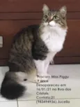 Miss Piggy