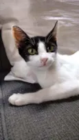 Kiara