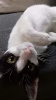 Kiara
