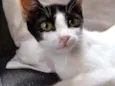 Kiara