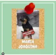Maria Joaquina