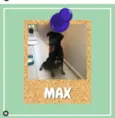 Max