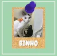 Binho