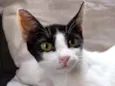 Kiara