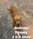 BELINHA