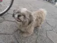 Tobby