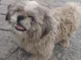 Tobby