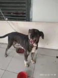 Danger