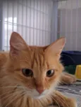 Ana Catarina 