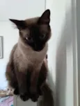 Marie