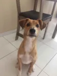Buddy