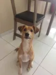 Buddy