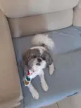 Bob