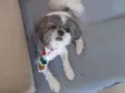 Bob