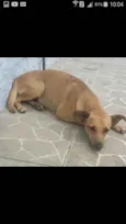 Nikita