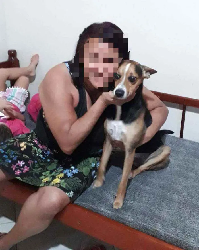 Cachorro ra a VIRA LATA idade 3 anos nome BOB