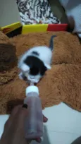 Tom