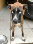 Zeus