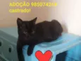 Nego Di 