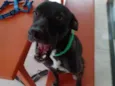 Lindão
