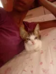 ??
