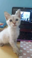 Aza