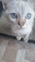Aza