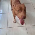 Kiara