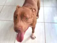 Kiara