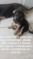Sem nome