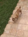 Alejandro